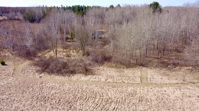 27048 Hawthorn Rd N, Hinckley, MN 55037 - photo 59