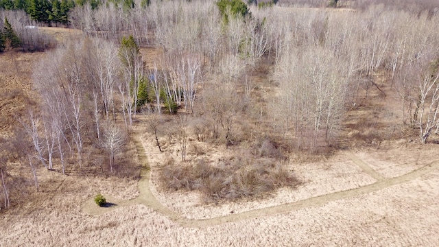 27048 Hawthorn Rd N, Hinckley, MN 55037 - photo 60