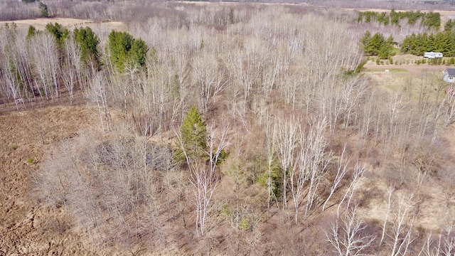 27048 Hawthorn Rd N, Hinckley, MN 55037 - photo 61