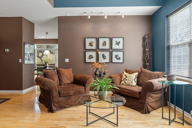 living area featuring track lighting, baseboards, and light wood finished floors