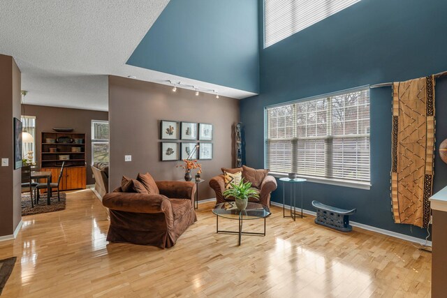 living area featuring track lighting, wood finished floors, and plenty of natural light