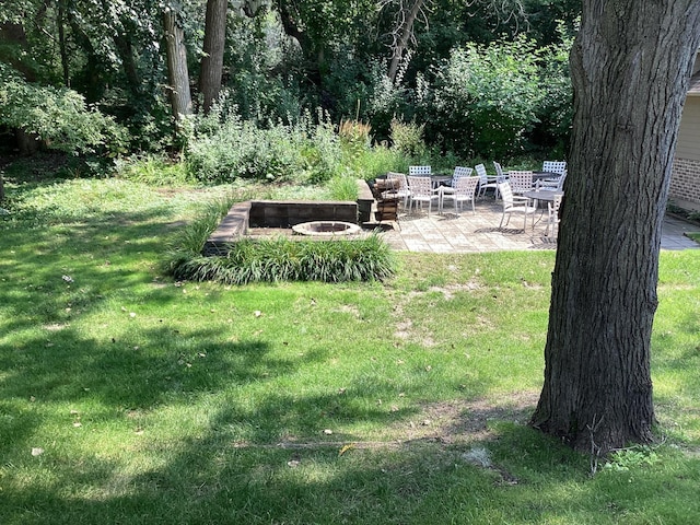 view of yard with a patio and an outdoor fire pit