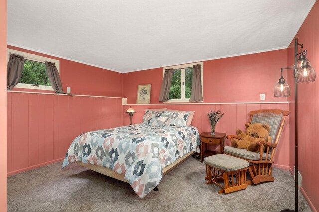 16905 211th Ave NW, Big Lake Twp, MN 55309 - photo 19