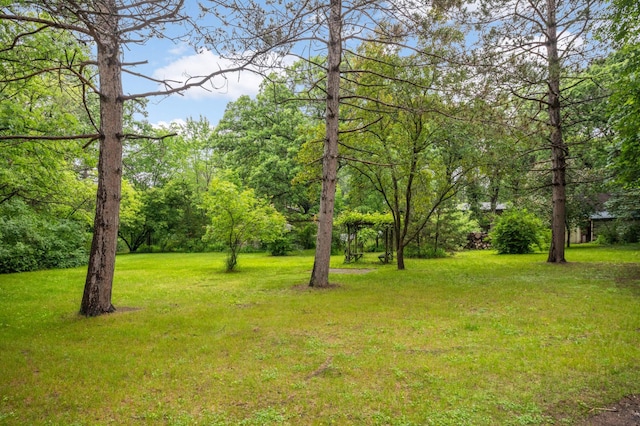 16905 211th Ave NW, Big Lake Twp, MN 55309 - photo 33
