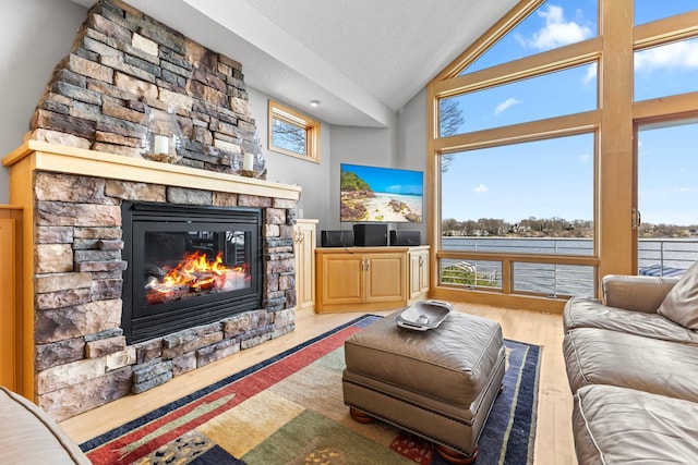 4101 Highwood Rd, Orono, MN 55364 - living room with a stone fireplace, wood finished floors, vaulted ceiling, and a healthy amount of sunlight