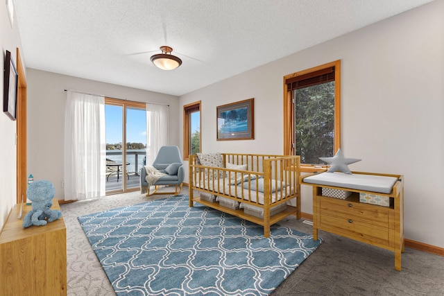 4101 Highwood Rd, Orono, MN 55364 - bedroom featuring multiple windows, a textured ceiling, access to outside, and a water view