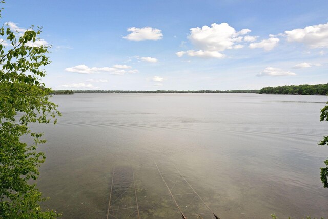 6070 Pilger Ave NW, Annandale, MN 55302 - water view
