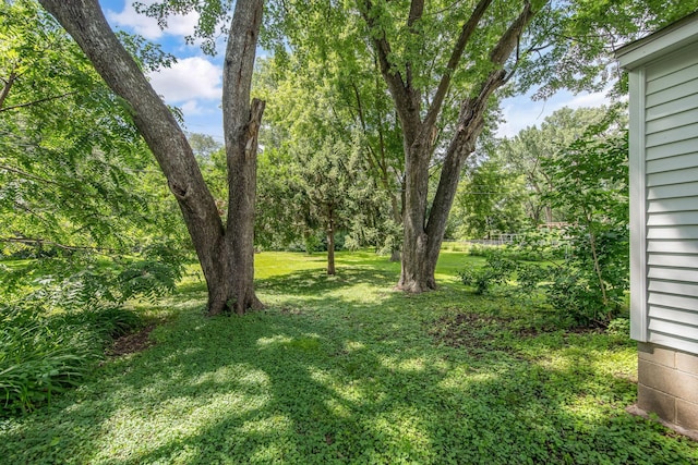 1759 Flandrau St, Maplewood, MN 55109 - view of green lawn