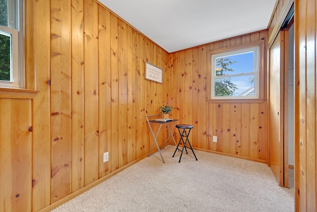 1759 Flandrau St, Maplewood, MN 55109 - carpeted spare room featuring wooden walls