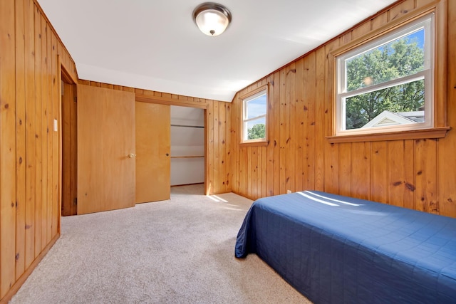 1759 Flandrau St, Maplewood, MN 55109 - bedroom featuring carpet, wooden walls, and a closet