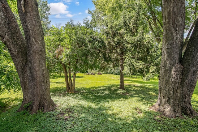 1759 Flandrau St, Maplewood, MN 55109 - view of green lawn