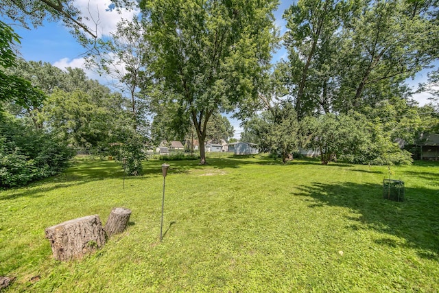 1759 Flandrau St, Maplewood, MN 55109 - view of green lawn