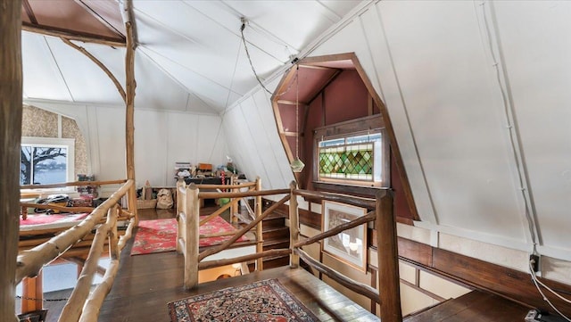 1007 Van Dyke Rd NW, Alexandria, MN 56308 - bonus room with wood-type flooring, plenty of natural light, and vaulted ceiling