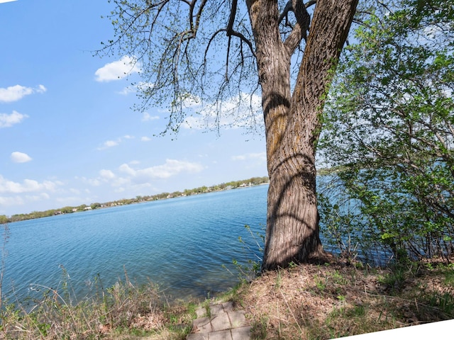 1007 Van Dyke Rd NW, Alexandria, MN 56308 - water view