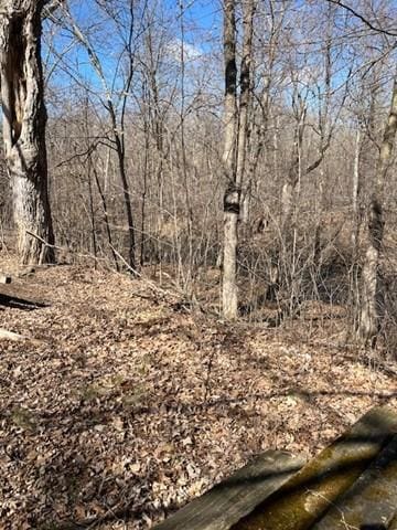 3338 130th St, Frederic, WI 54837 - view of nature
