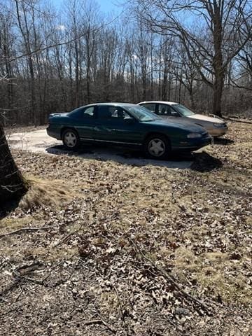 3338 130th St, Frederic, WI 54837 - view of yard