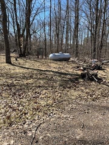 3338 130th St, Frederic, WI 54837 - view of local wilderness