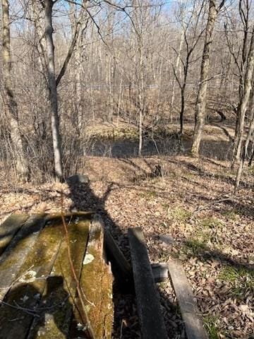 3338 130th St, Frederic, WI 54837 - view of landscape