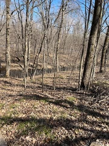 3338 130th St, Frederic, WI 54837 - view of local wilderness