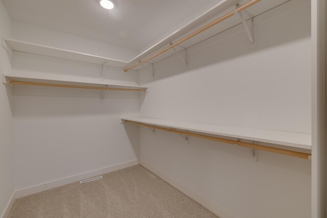 1824 Brandt Dr NE, Byron, MN 55920 - spacious closet with light colored carpet