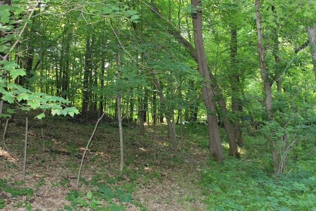 12581 Big Trade Rd, Trade Lake, WI 54840 - photo 25