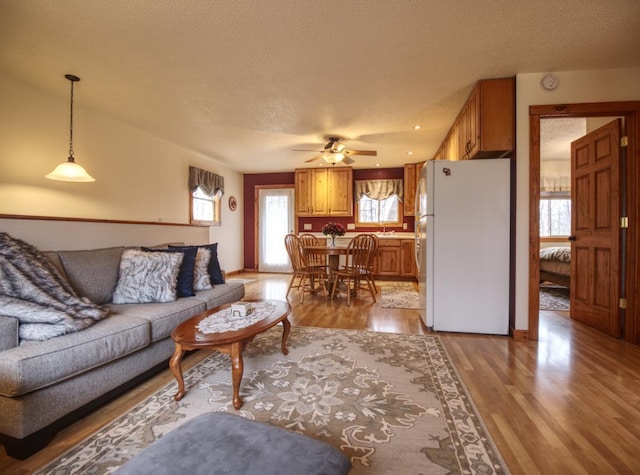 living area with light wood-style floors, a ceiling fan, and a textured ceiling