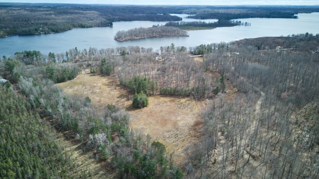 aerial view with a water view and a wooded view