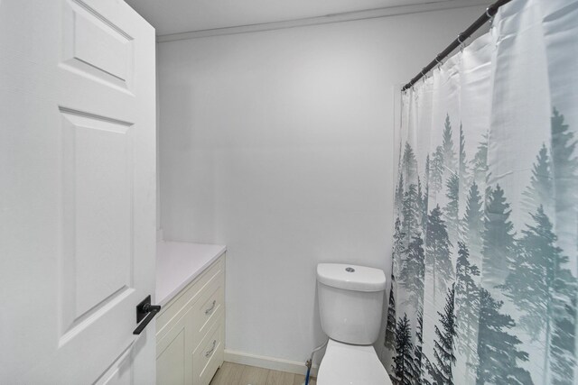 115 Prentice St, Clayton, WI 54004 - full bathroom with curtained shower, wood finished floors, toilet, and vanity