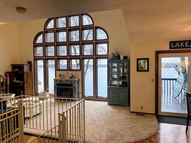 5060 Condons St SE, Prior Lake, MN 55372 - entryway featuring a textured ceiling, a fireplace, baseboards, and carpet flooring
