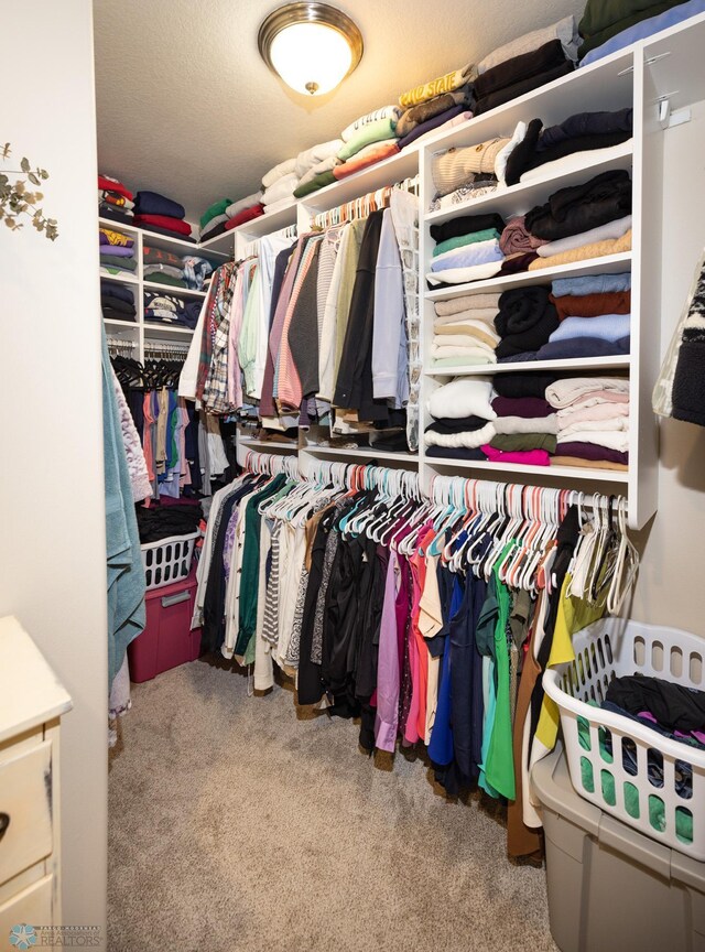3497 50th St S, Fargo, ND 58104 - walk in closet with carpet floors