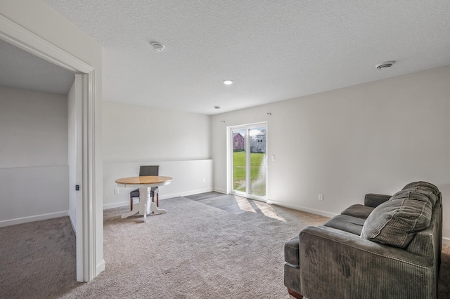 18872 Fillmore St NW, Elk River, MN 55330 - carpeted living area with baseboards and a textured ceiling