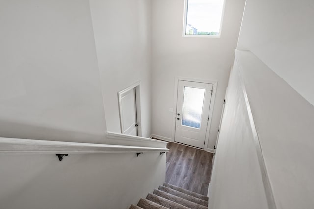 18872 Fillmore St NW, Elk River, MN 55330 - staircase featuring wood finished floors, plenty of natural light, and a high ceiling