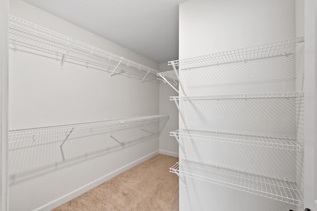 18872 Fillmore St NW, Elk River, MN 55330 - spacious closet featuring carpet