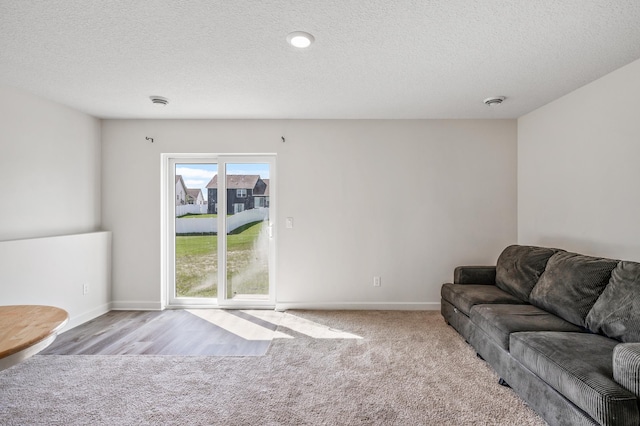 18872 Fillmore St NW, Elk River, MN 55330 - living room with carpet flooring, a textured ceiling, and baseboards