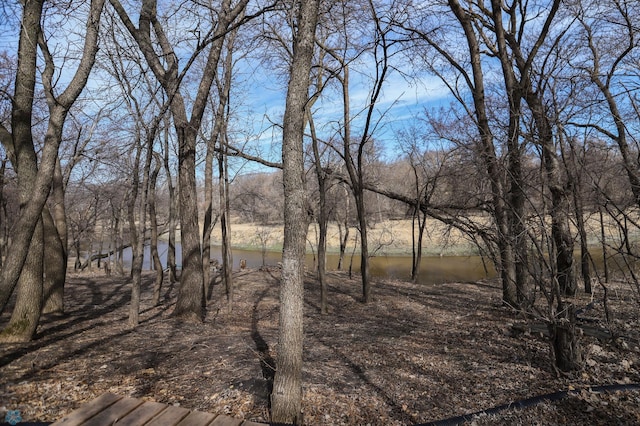 1311 Cossette Dr S, Fargo, ND 58104 - water view