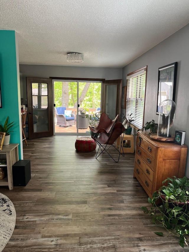 10624 56 1/2 St, Palmer Twp, MN 55319 - living area featuring dark wood-type flooring and a textured ceiling