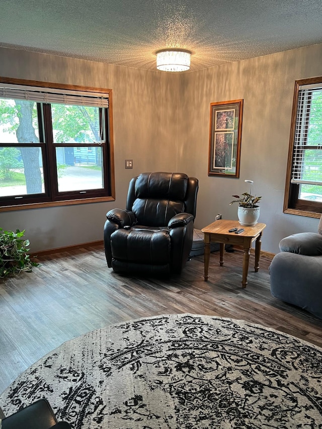 10624 56 1/2 St, Palmer Twp, MN 55319 - living area with wood finished floors, a textured ceiling, and baseboards