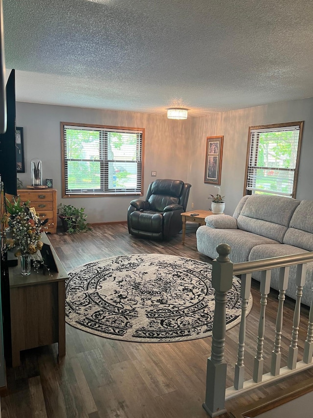 10624 56 1/2 St, Palmer Twp, MN 55319 - living area featuring wood finished floors, a textured ceiling, and healthy amount of natural light