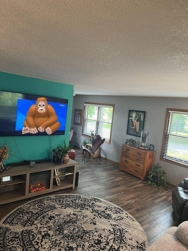 10624 56 1/2 St, Palmer Twp, MN 55319 - living area with wood finished floors and a textured ceiling