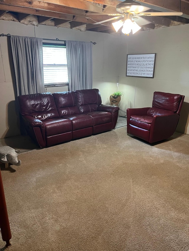 10624 56 1/2 St, Palmer Twp, MN 55319 - carpeted living room with ceiling fan