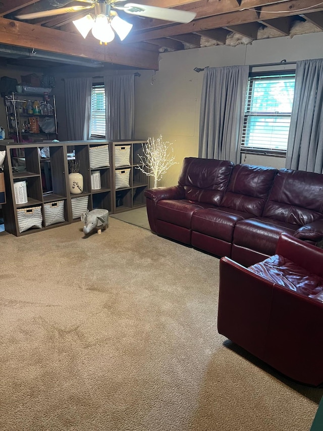 10624 56 1/2 St, Palmer Twp, MN 55319 - carpeted living room with ceiling fan