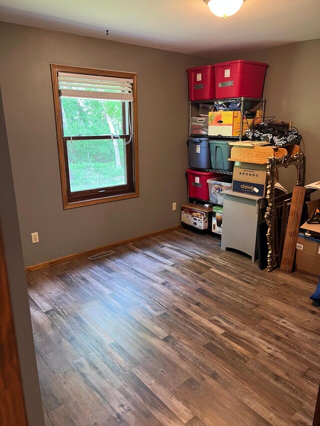 10624 56 1/2 St, Palmer Twp, MN 55319 - view of storage area