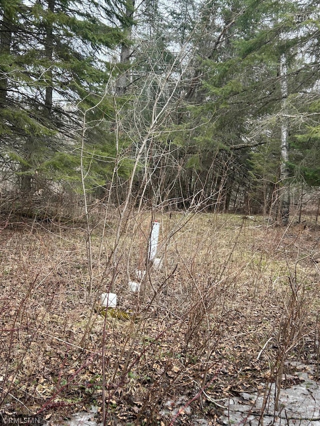54235 State Highway 46, Blackduck, MN 56630 - photo 7