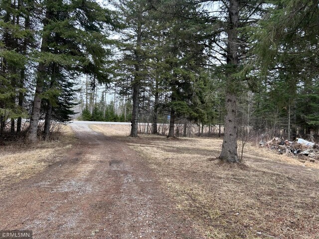 54235 State Highway 46, Blackduck, MN 56630 - photo 8