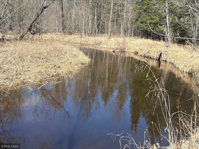 54235 State Highway 46, Blackduck, MN 56630 - photo 4