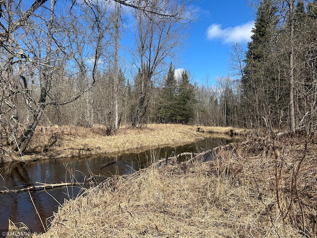 54235 State Highway 46, Blackduck, MN 56630 - photo 5