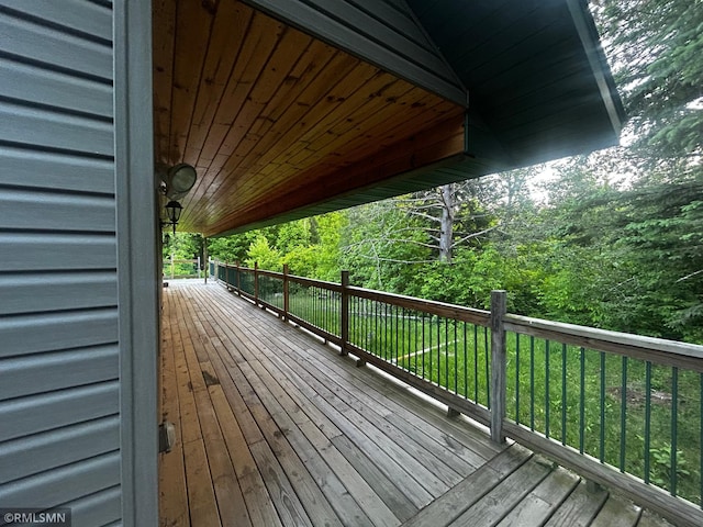 54235 State Highway 46, Blackduck, MN 56630 - photo 49