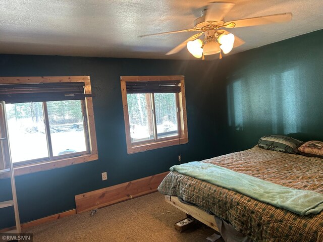 54235 State Highway 46, Blackduck, MN 56630 - photo 28
