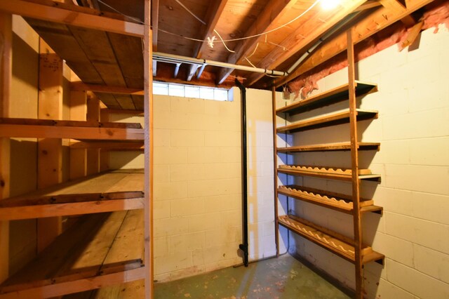 unfinished below grade area with concrete block wall