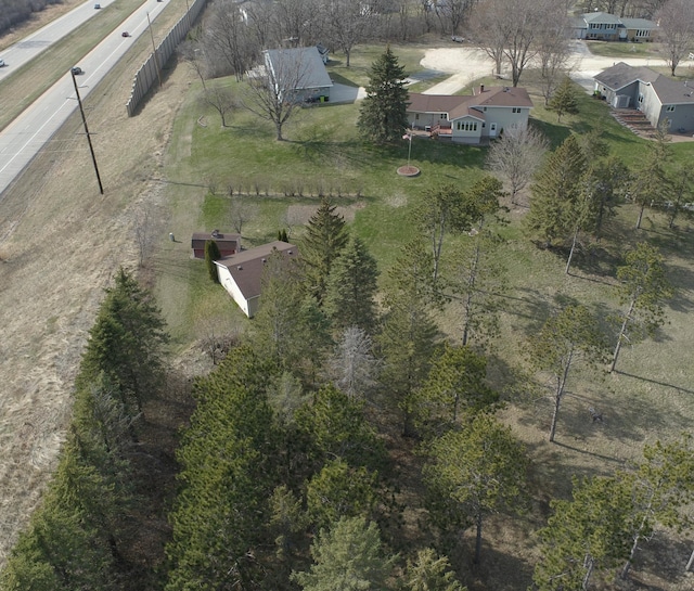 bird's eye view